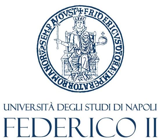 Bando di partecipazione alla XIX edizione del Master in Ingegneria Forense dell’Università di Napoli Federico II